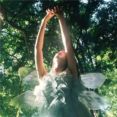 四平警事之尖峰时刻